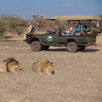 Safari in Südafrika